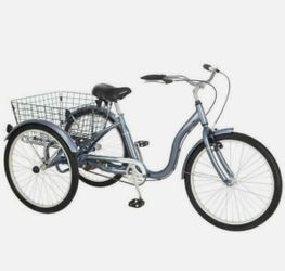 Adult Schwinn Trike