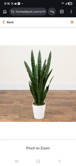 3 ft. UV Resistant Artificial Sansevieria Plant in White Decorative Planter