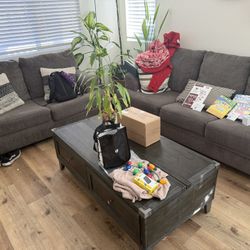 Gray couches and coffee Table 