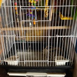 Bird Cage