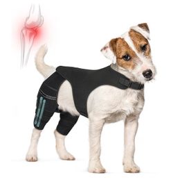 Dog Knee Brace for Hind Legs ACL Support - Adjustable Double Leg Dog Brace for Joint Pain Relief, Luxating Patella, Arthritis Recovery - Secure Fit Or