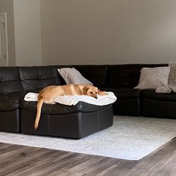 Cloud Leather Sectional 