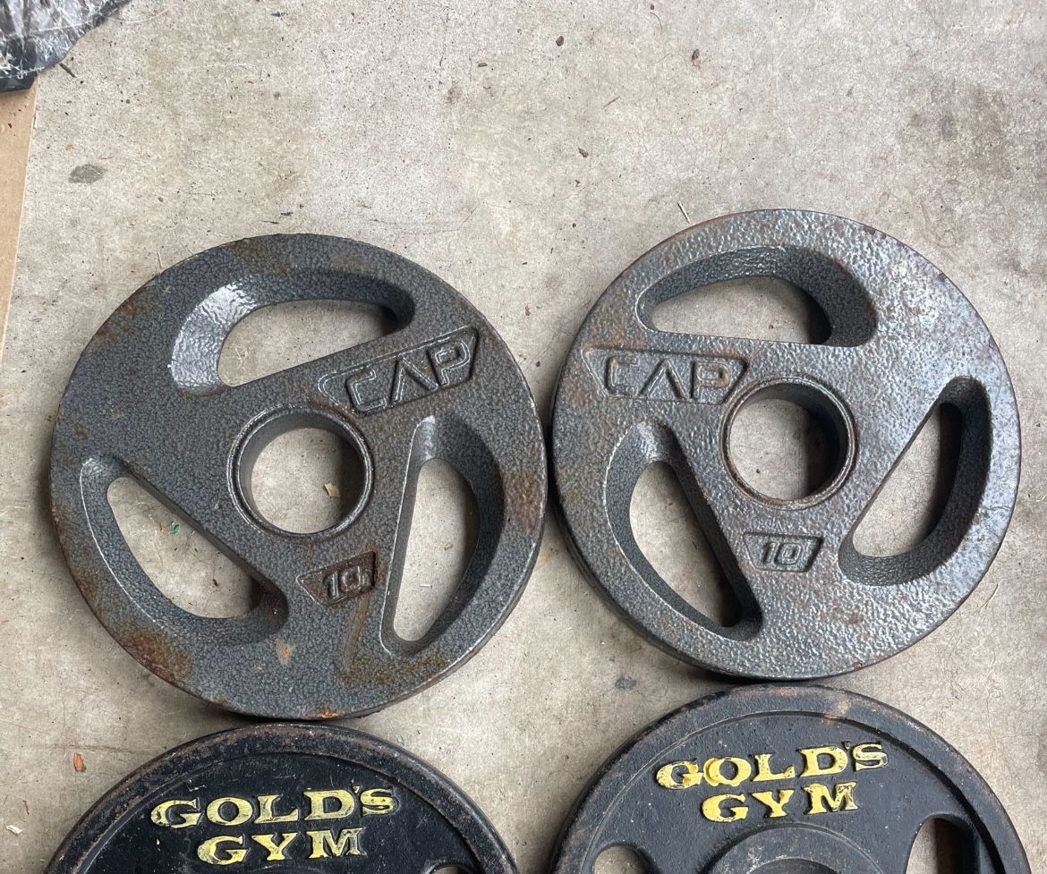 Olympic Weight Plates - pair of 10s