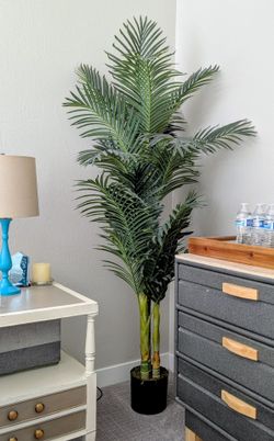 Palm Tree / Silk Palm / Artificial Plants / Artificial Tree