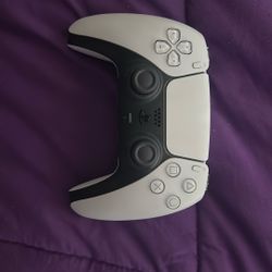 PS5 Controller (OFFERING A TRADE FOR ONE SPECIFIC THING)