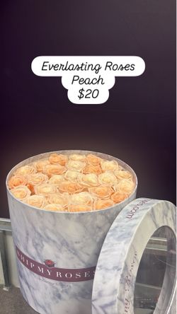 Peach Eternal Roses