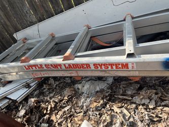 Little Giant Ladder $150