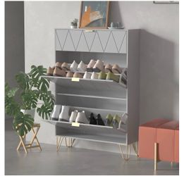 Shoe organizer