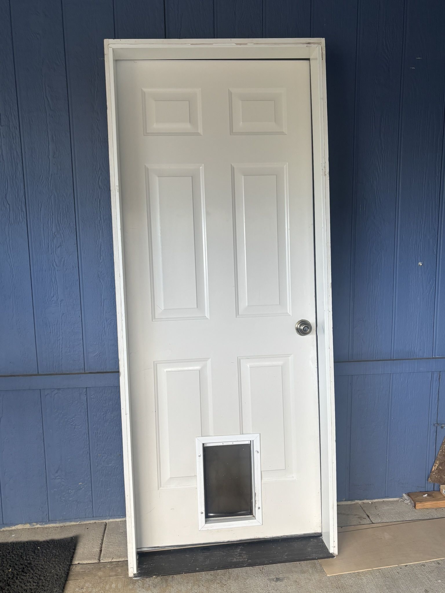 Brand New White Door With Pet Door