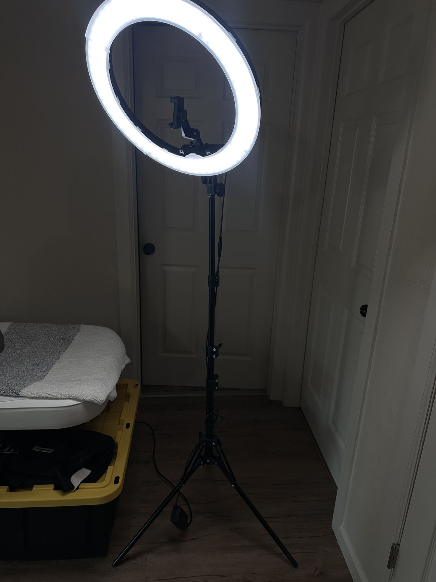 Right Light