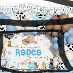 My Second Party Backdrop And Birthday Sign 