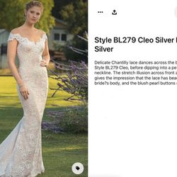 Cleo Blush Wedding Gown