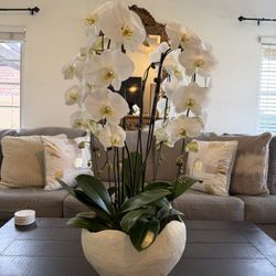 Orchid Flower Arrangement