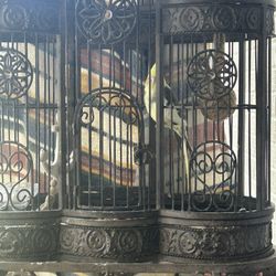 Birdcage 