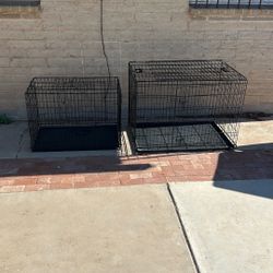 Two Kennels 