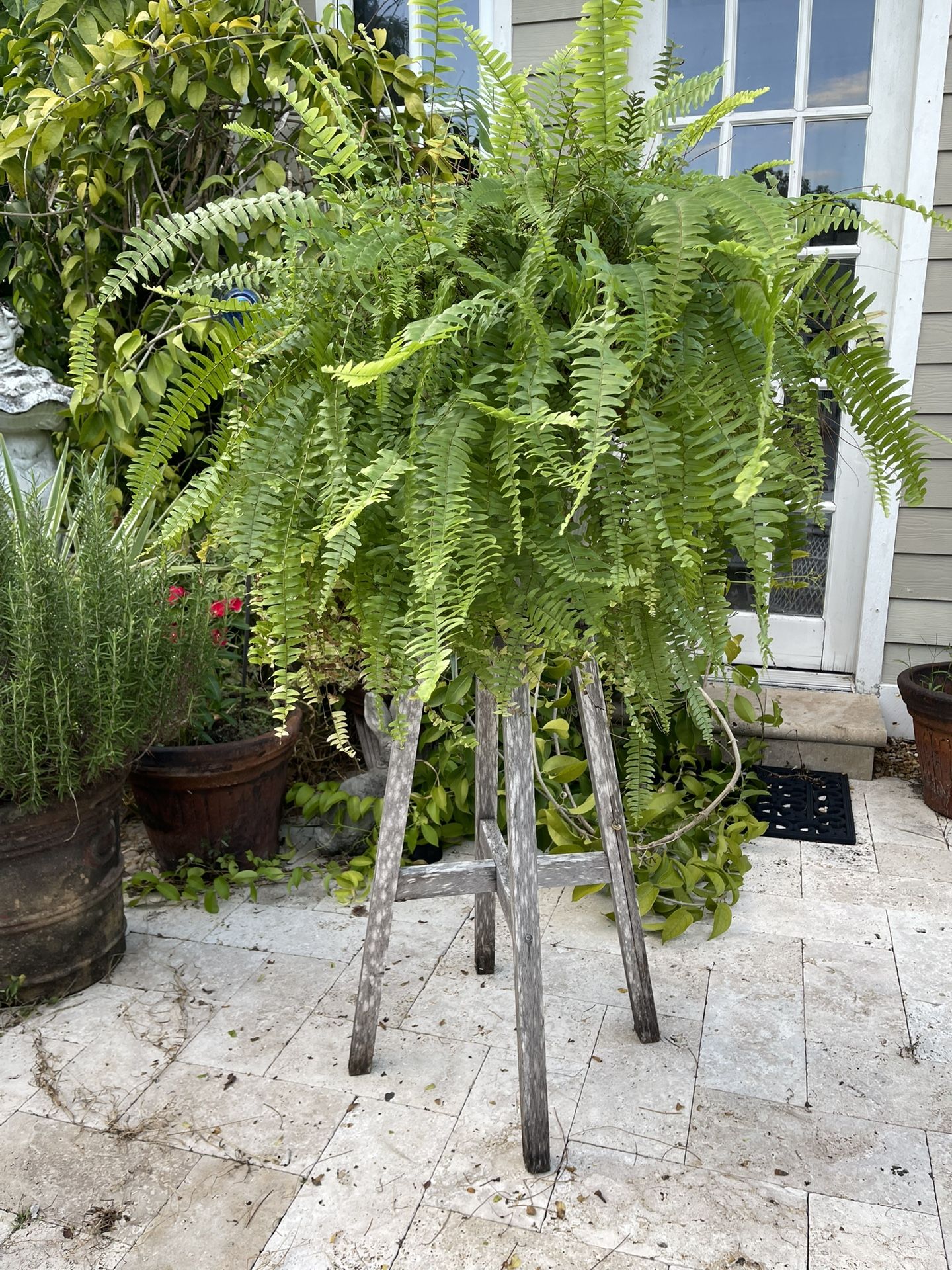 Rustic Plant Stands