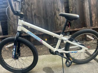 SE bike bronco 20in