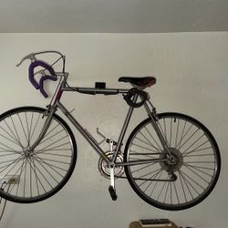 Vintage Raleigh Technium Bike $250