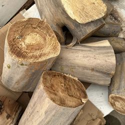 Free Firewood 🪵 Eucalyptus (not dry)