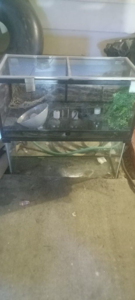 Reptile Enclosure And Feeder Tank.