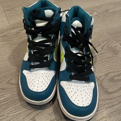 Dunks 5.5Y