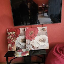 Bundle,  T V Stand,  TV,  Bean Bag Chair And Picture Art
