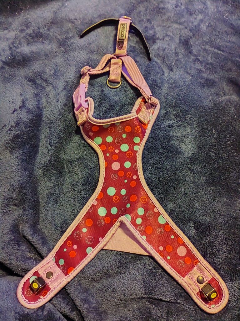 Harness