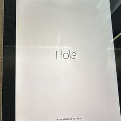 iPad 