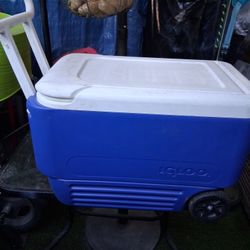 Coolers Igloo