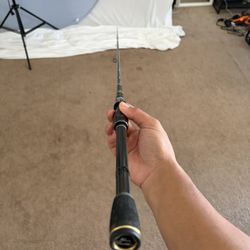 Phenix Feather Spinning Rod