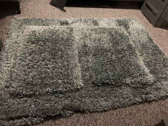 Large rug and 2 small rugs and 2 pillows for sale