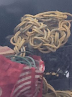Electrical cord