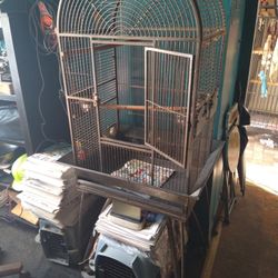 Bird Cage Good For Small Parrot