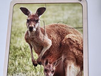 Wooden Puzzle Kangaroo