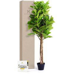 Homelux Theory Faux Fiddle Leaf Fig Tree, 5ft Artificial Plants Indoor House Plants, Small Artificial Fig Tree Floor Plants for Living Room Decor & Of