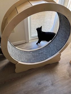Cat Exercise Wheel