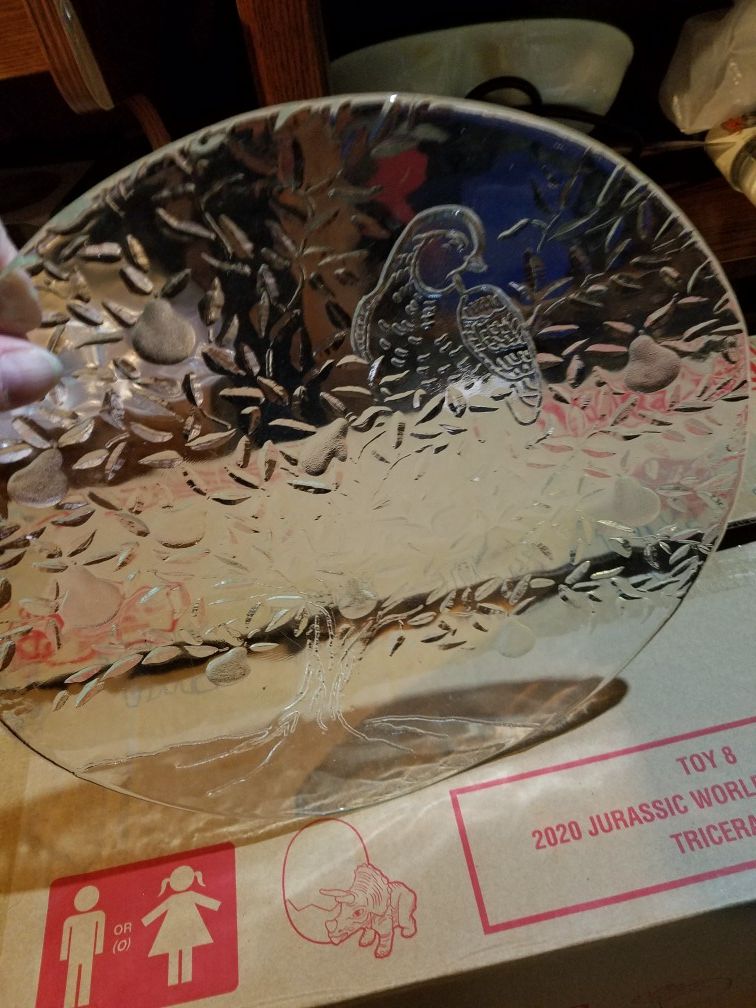 Party tray glass plate