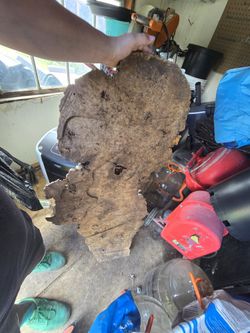 Large Piece Of burl wood