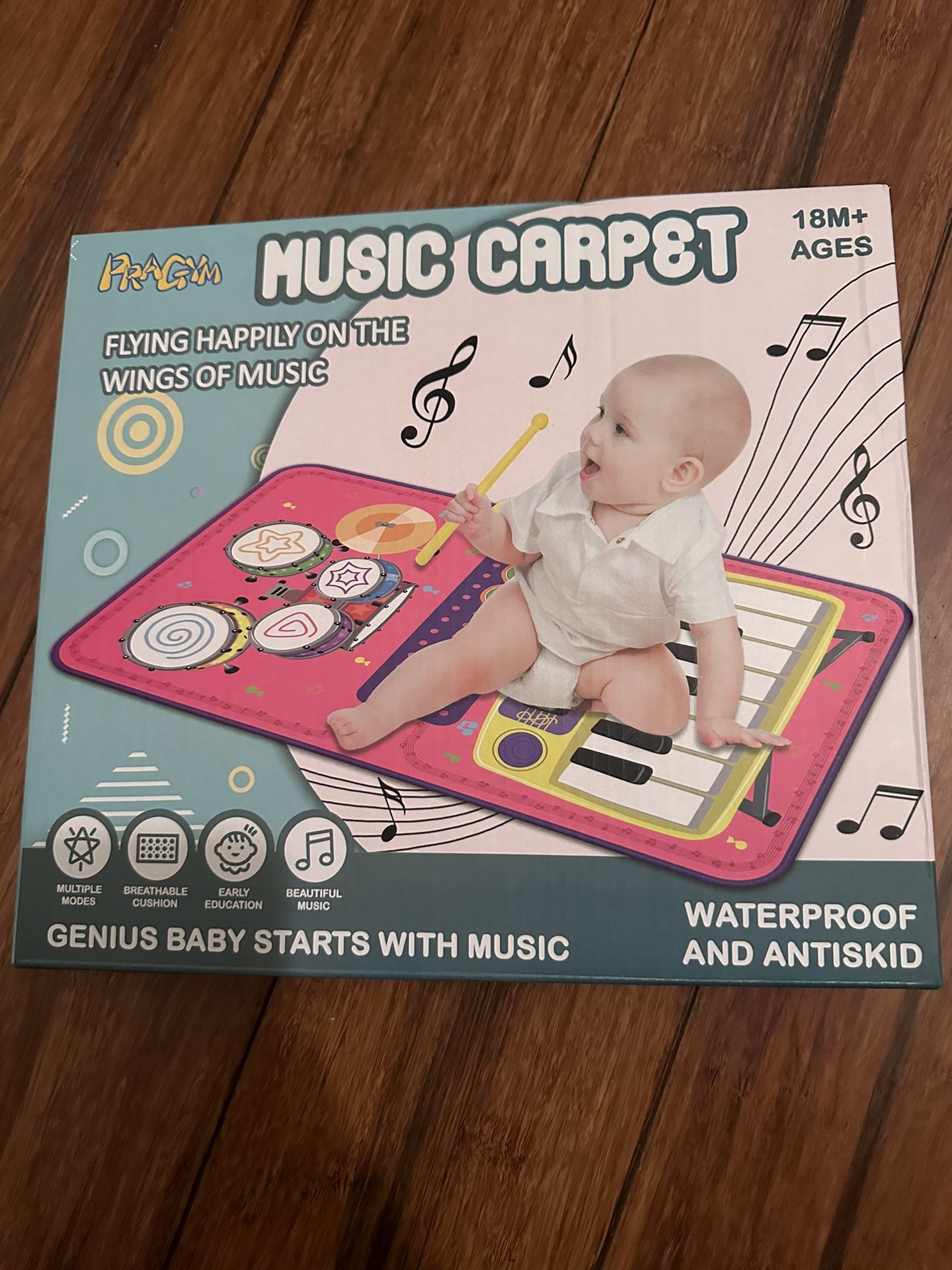 Baby Magic Carpet