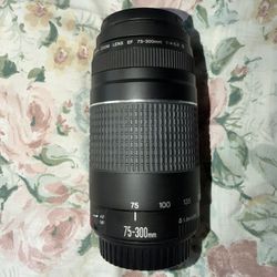 Canon EF 75-300 f/4-5.6 III Lens 