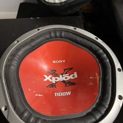 Sony Explod 1100W 
