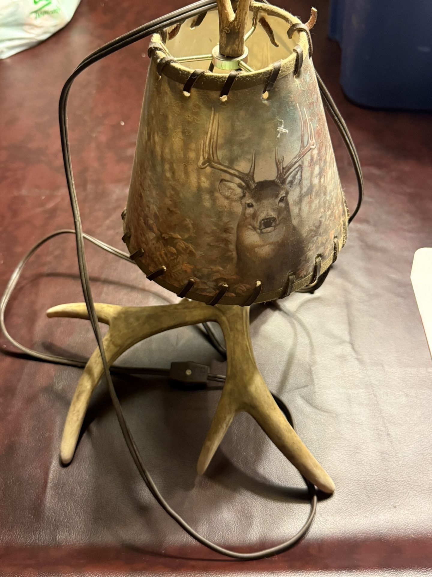 Taxidermy