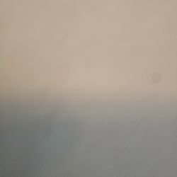 who is willing to trade a designer belt for a computer