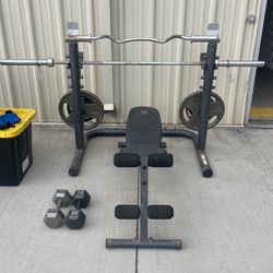 Gold’s Weights 180lbs Cast Iron Olympic Set 2-2.5 2-5’s 2-10’s 2-25’s 2-35’s 2-45’s