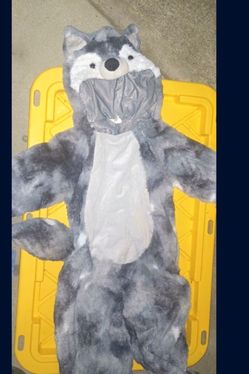 Halloween Child Dog Costume