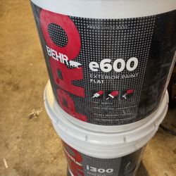 Paint Eggshell  And Flat Semi Gloss