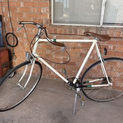 Raleigh Bike