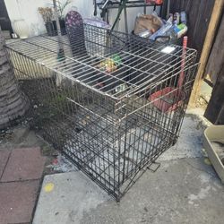 Large Dog Kennel 