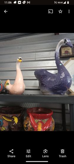 Masetero Ganso Grande