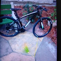 Diamondback Over Drive